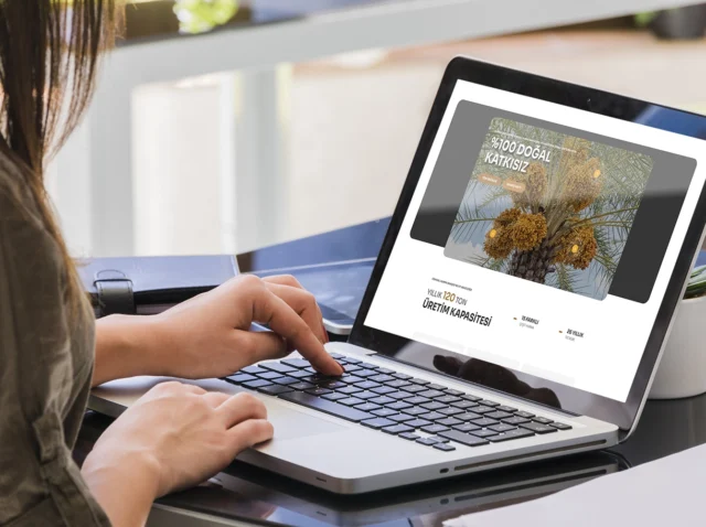 Dizüstü bilgisayarda açık e-ticaret web sitesi üzerinde çalışan kişi, ürün sayfası görünümü