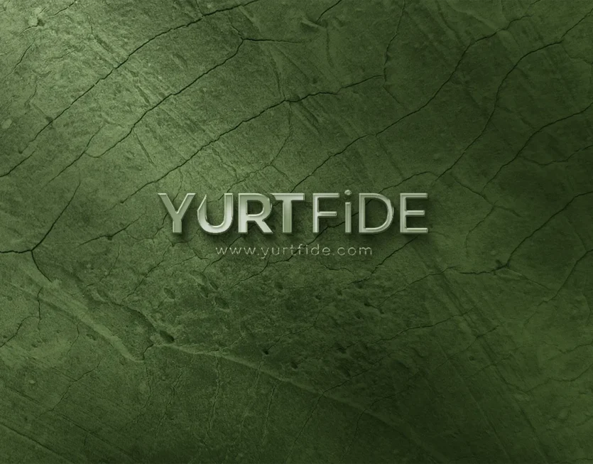 Yurt Fide için hazırlanan renkli logo varyantı